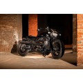 Zard 120th ANNIVERSARY LIMITED EDITION Carbon Fiber Headlight Fairing Kit for Harley Davidson Sportster S 1250